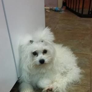 Meet your Posher, Anna marie